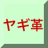 Rrv